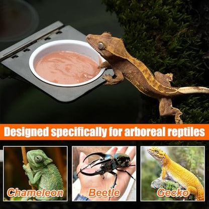 Magnetic Gecko Ledge, Reptile Feeder Ledge with 1 Feeding Cup, Reptile Food & Water Bowl for Arboreal Reptiles, Tree Frogs, Geckos, Beetles, Chameleons - color: Single Bowl