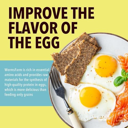 WormsFarm 5lb Dried Mealworms for Chickens Treats for Laying hens,Bluebirds,Quail,Chicken Food | treats for laying hens,blue birds - size: 5 Pound (Pack of 1)
