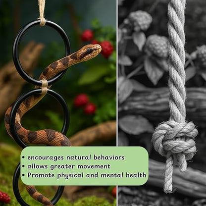Snake Enrichment Toys Ball with Hammock, Snake Climbing Accessories and Hammock for Ball Python, Small Jungle Gym Ladder Toy, Reptiles Climbing Toy Hammocks, Snakes Tank Accessories (Black Ring, L) - color: Black Ring