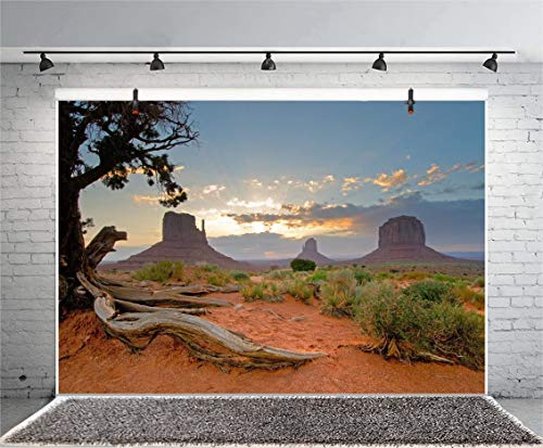 Leyiyi 5x4ft Monument Valley Photography Background American National Park Navajo Tribal Park Cowboy Western Desert Weathering Rock Warship Landmark Film Backdrop Polyester Terrarium Background - color: Desert2, size: 5x4ft-P