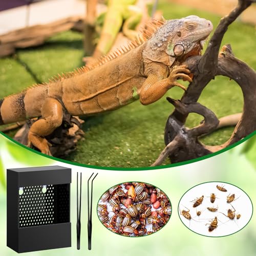Geyoga Bearded Dragon Feeder with Suction Cups and 2 Tweezers Chameleon Bug Bowl Bug Feeder for Bearded Dragon Acrylic Reptile Feeding Box Tank and Aquarium Accessories for Lizard Gecko Frog(Black) - color: Black