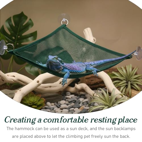 2Pcs Reptile Hammock - Breathable Mesh Bearded Dragon Hammock | Lizard Tank Accessories Triangle Geckos Hammocks for Bearded Dragons Snakes Axolotls(Green)