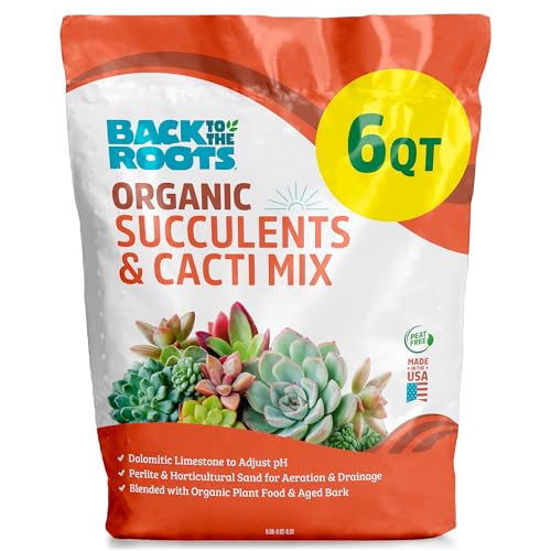 Back to the Roots 100% Organic Succulent & Cacti Mix (6 Quart) | Made in the USA | Premium Nutrition for Indoor and Outdoor Plants - size: 6 Quart, style: Suculent & Catcti Blend