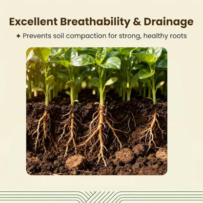 Halatool 10 Pack Coco Coir Brick, Organic Coconut Coir Soil for Plants | Organic Coco Coir Soil, pH Balanced & Low EC – Expanding Seed Starter, Potting Mix for Plants, Flowers & Reptiles - size: 10 Pack