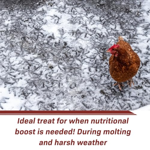 Exotic Nutrition 60 LB Bulk Dried Black Soldier Fly Larvae - High-Calcium Insect Treat - Chickens, Wild Birds, Bluebirds - size: 60 Pound (Pack of 1)
