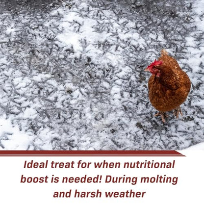 Exotic Nutrition 60 LB Bulk Dried Black Soldier Fly Larvae - High-Calcium Insect Treat - Chickens, Wild Birds, Bluebirds - size: 60 Pound (Pack of 1)