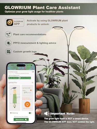 Tall Plant Grow Light for Indoor Plants, Full Spectrum Plant Light | 48W LED Grow Lamp with Dual Heads, 23.5-71" Adjustable Height, 3/9/12/16H Timer, 6-Level Dimming for Large Houseplants - color: Black (Dual Heads)