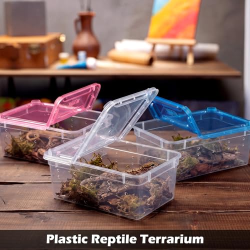 Novabright 12 Pcs Plastic Reptile Terrariums with Vented Holes, Snake Breeding Box Hatching Container for Spider Turtle Tarantula Scorpion Lizard Gecko (6.5 x 4.53 x 2.56 Inch)