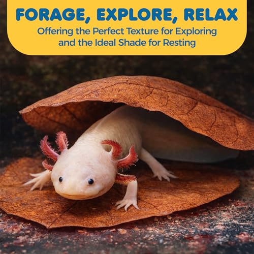 SunGrow 10 Pack Axolotl Indian Almond Leaves for Aquarium, 5-Inches, Catappa Leaf Soothes Pet’s Slime Skin, Aquarium Water Conditioner Leaves Improves Tank Water Quality, Speeds Up Recovery Process - style: Medium (5")