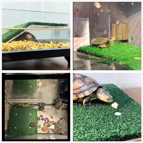 alfyng Turtle Resting Basking Platform Simulation Grass Turtle Ramp, Lawn Tortoise Climbing Ladder Resting Terrace for Reptile Frog Terrapin Amphibian - Medium - size: Medium