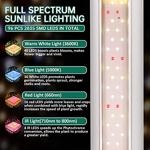 SZHLUX LED Grow Light 2FT Full Spectrum 2 Pack 80W (2×40W, 600W Equivalent) Sunlight Plant Light for Indoor Plants, Super Bright Grow Light Strips, Linkable Growing Light Fixture - size: 2ft