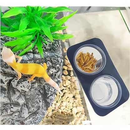 Lizard Crested Gecko Food Water Feeding Cups, 100 pcs, 0.5oz | Reptile Feeder Bowls, for Lizard and Other Small Pet Ledge Accessories Supplies