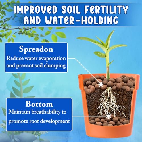 5LB Leca Clay Pebbles for Plants. Organic Hydroponic Clay Balls | Hydroton Leca Balls for Indoor Plants Hydroponic Gardening Orchids Drainage Decoration Aquaponics Succulents - size: 5LB