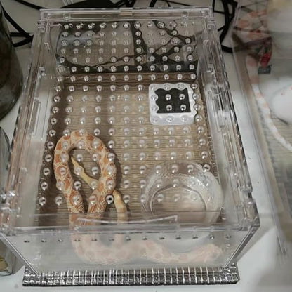 Small Acrylic Reptile Enclosure, No Assembly Small Reptile Breeding Box for Insect Tarantula Hermit Crab Jumping Spider (8x6X4 in) - size: 8x6X4 in