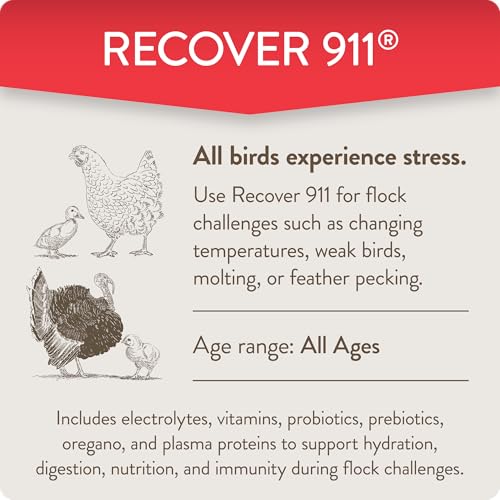 Recover 911, Poultry Water Supplement for Flock Emergencies,8oz | Use during flock challenges like extreme temperatures, predator attacks, molting, introducing new chickens & feather pecking. - size: 8 Ounce (Pack of 1), style: Recover 911