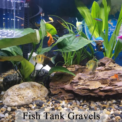 FANTIAN 2 lbs Aquarium Gravel, 1/4 inch Pea Gravel for Fish Tank | Natural Pebbles River Rocks for Plants, Succulent, Vase, Pond, Outdoor Landscaping, Drainage, Terrarium, Safe for Fish - size: 1/4 Inch