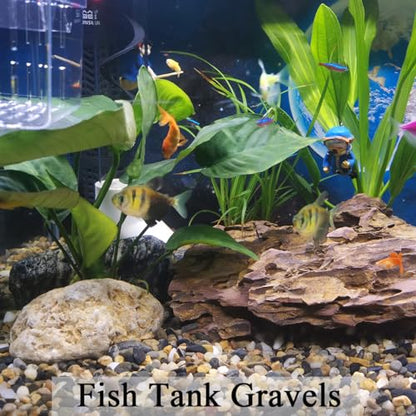 FANTIAN 2 lbs Aquarium Gravel, 1/4 inch Pea Gravel for Fish Tank | Natural Pebbles River Rocks for Plants, Succulent, Vase, Pond, Outdoor Landscaping, Drainage, Terrarium, Safe for Fish - size: 1/4 Inch