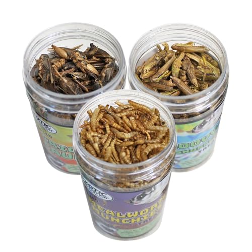 Exotic Nutrition Dried Insect 3 Pack - Crickets, Grasshoppers, Mealworms - for Sugar Gliders, Hedgehogs, Wild Birds, Chickens, Turtles, Tropical Fish, Reptiles