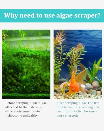 Aquarium Scraper Algae Cleaning Tool for Glass Aquariums | Including Algae Scraper, Sponge Pad, Fish Net, Cleaning Brush, Adjustable Length, Durable, Does Not Hurt The Fish Tank