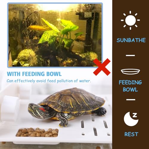 SHIGATSU 2IN1 Turtle Basking Platform Suction Cup for Turtle Tank Habitat | PP material safe plastic food bowl feeder amphibians frogs tortoises aquarium fish tank basking area sunning dock