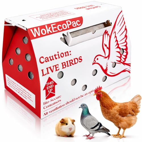 6 Pack Live Bird Shipping Boxes for Poultry Chicken Bird Duck (Red) | Size 17.7" x 7.8" x 11.8"-Poultry Shipping Boxes, Poultry Carrier Crate has Ventilation Openings, Portable Bird Travel Bag - color: Red, size: 6 Pack