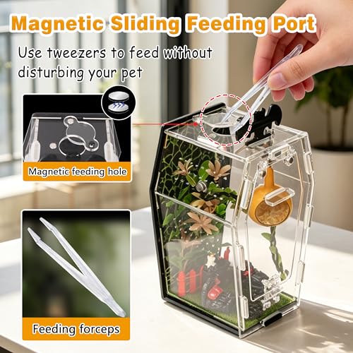 19PCS Jumping Spider Enclosure Kit, Acrylic Goth Coffin Terrarium with Magnetic Lock & Feeding Hole, DIY Decor Set for Tarantula Mantis Insect Habitat, Black Base