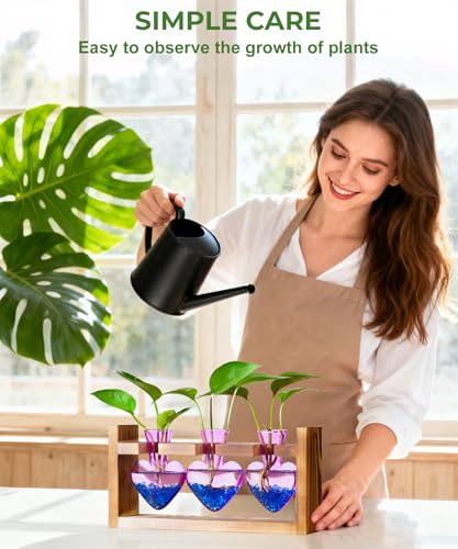 Nacome Plant Terrarium with Wooden Stand, 3 Heart Bulb Glass Vases | Wooden Stand Tabletop for Air Planter, Gifts for Mom Plant Lovers Mom Women Wife Grandma - color: Purple