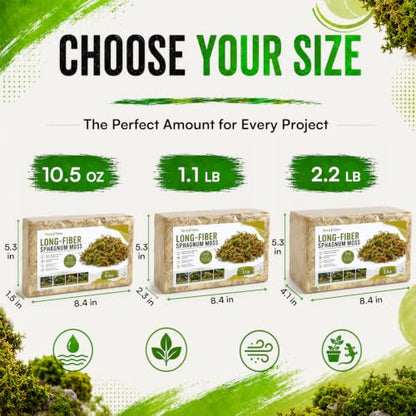 1.1LB Natural Long Fiber Sphagnum Moss Compressed Brick Expands to 30QT, Premium Orchid Moss for Repotting, Carnivorous Plants, Propagation, Moss Pole, Terrarium, Indoor Outdoor Gardening - size: 1.1LB