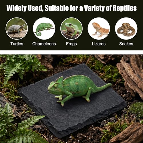 Yuanchu Reptile Basking Platform, Slate Tortoise Rock Plate, Natural Rock Reptile Food Dish Bowl, Habitat Decor for Turtle Bearded Dragon Lizard Gecko Snake