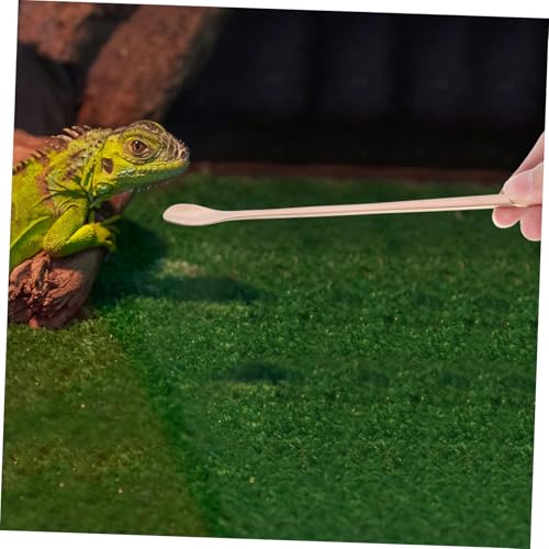 BESPORTBLE 2pcs Reptile Food Feeding Spoon Handle Stainless Steel Scoop for Lizards Small Animals Convenient Pet Feeding Tool for Reptiles