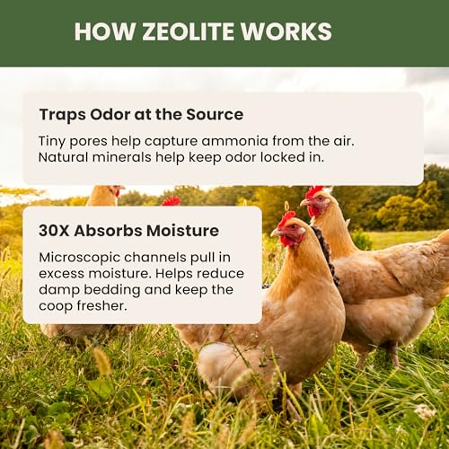 Chicken Coop Refresher - 20 Pounds: All-Natural Odor Eliminator, Moisture Absorber, and Ammonia Neutralizer - Deodorizer,Chicken Coop Accessories for Chickens Run- Remove Smell of Chicken Coops | Ammonia Neutralizer Zeolite Deodorizer Chicken Coop Accesso