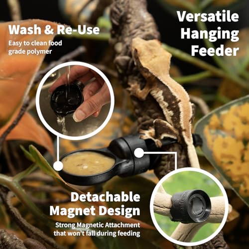 Pangea Microdish Kit for Micro Gecko Feeding, Water Bowl for Tiny Reptiles | Branch Mount, Zip Ties Included 1.5in x .75 in - size: S Branch Mount