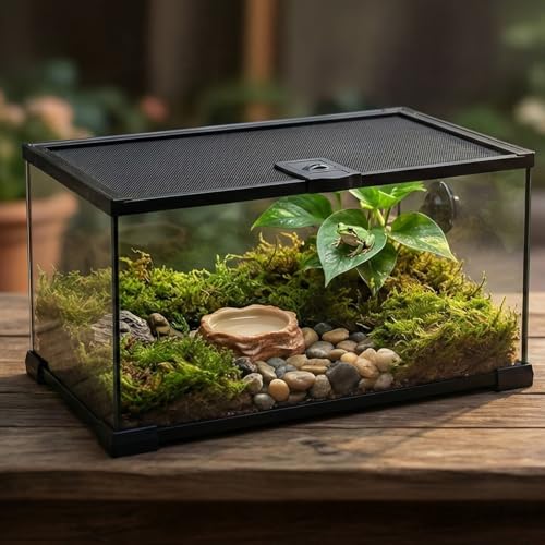 10 Gallon Reptile Tank: Leopard Gecko Tank with Lockable Lid | 20x12x10 Glass Terrarium for Small Lizard Snake Hermit Crab - Tarantula Enclosure with Sliding Screen Top for Desert Dedcor - color: Glass, size: 20x12x10