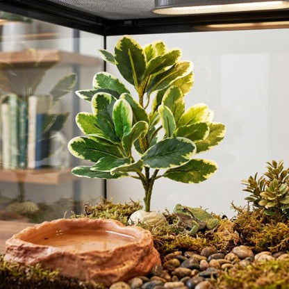 EupHHonycs Reptile Plants Artificial Leaves Reptile Tank Decorations | Fake Plants for Reptiles Terrarium for Bearded Dragon Lizard Snake Chameleon Geckos Amphibian Habitat Terrariums Decor