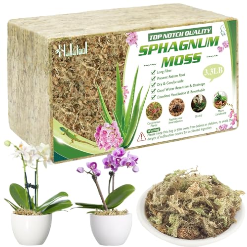 Halatool 3.3 LB Sphagnum Moss for Plants, 60 QT Long Fiber Orchid Moss | Drainage & Moisture Retention, Natural Moss for Ferns, Succulents, Carnivorous, Orchid Repotting, Terrariums, Reptile Bedding - size: 60 qt (3.3 lbs)