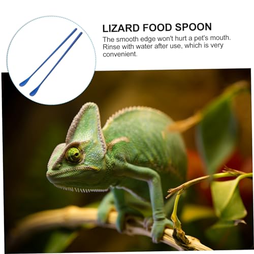 SUPVOX 2pcs Reptile Food Scoop Small Pet Feeding Spoon Long Handle Lizard Desert Spoon - color: Blue