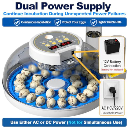32 Quail Egg Incubator for Hatching Eggs, Dual Power Supply, Automatic Egg Turner, Humidity & Temperature Monitor, Egg Candler, External Water Filling, Bird Egg Incubator for Quail Dove