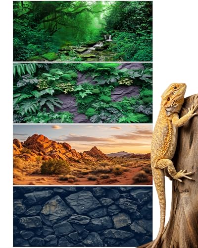 4 Pcs Reptile Habitat Background with Nano Glue Gobi Sun Cactus Stone and Green Tree Fern Stream Terrarium Background Polyester Durable Aquarium Accessories (Style2,36 x 18 Inch) - color: Style2, size: 36 x 18 Inch