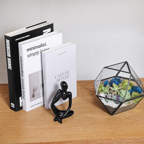Creations by Nathalie DIY 7" Chalice Glass Terrarium Kit with Moss & Tools | DIY geometric glass terrarium kit with moss, tools, and supplies for creating an indoor terrarium display with your plants. - color: 7” Geometric Dodecahedron