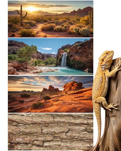 4 Pcs 36 x 18'' Reptile Tank Background 30/40/50 Gallon Bearded Dragon Terrarium Background Decor Polyester Reptile Tank Accessories for Leopard Gecko, Crested Gecko, Tortoises - size: 36 x 18 Inch