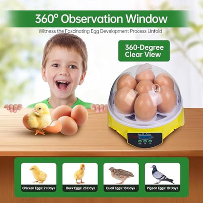 Gen 1-7 Egg Incubator for Kids & Beginners with 360° View, Manual Temperature Control for Chicken, Quail, and Parrot Eggs