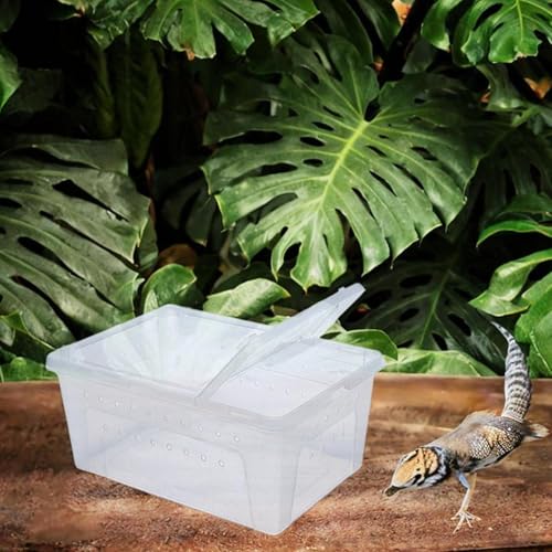 Reptile Reproduction Box Animal Housing Light Cage with Small Vents Control of Turtle Transport Container for Silk Worm, White - color: White