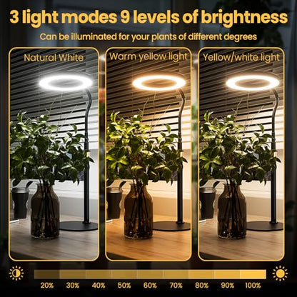bseah Grow Light, LED Plant Light for Indoor Plants Growing, Full Spectrum Desk Grow Lamp with Pedestal, Automatic Timer for 3H/9H/12H, 10 Dimmable Levels, Height Adjustable - color: Black