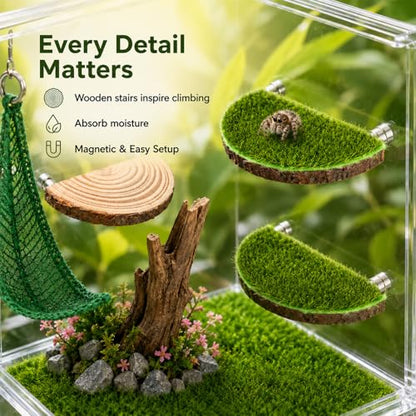 2 in 1 Jumping Spider Enclosure Accessories - Magnetic Feeding Dish with Jumping Wood Ledges | Acrylic Water Bowl Food Dish Habitat Decor for Tarantula Small Spider Reptile