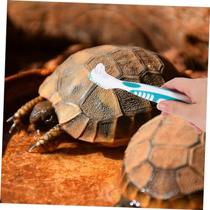 MERRYHAPY 2pcs Reptile Terrarium Shower Cleaning Brush Double-Sided Turtle Shell Cleaning Brush Portable Turtle Supplies for Tank - color: Multi