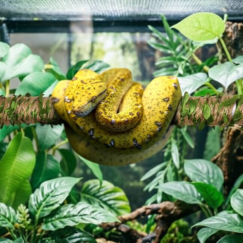 Snake Enrichment Climbing Stick, 19.69-35.43 Inch Adjustable Reptile Tank Climber with 10M Decor Rope, Large Anti-Slip Reptile Climbing Pole for Corn Snakes, Ball Pythons, Geckos, Lizards - size: Large(50-90CM)