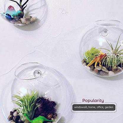 WGV Wall Hanging Planter Terrarium Bulk, Diameter 6", Clear Mounted DIY Succulents Air Glass Floral Container Vase, Tea Light Votive Candle Holder for Decoration 6 Pieces - size: 6"D