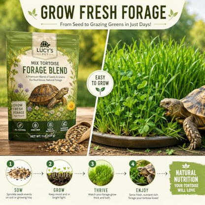 Tortoise Forage Seed Mix – Grow Fresh Grazing Greens for Sulcata, Russian & Hermann's Tortoises – Oats, Rye & Alfalfa Blend for Indoor Trays or Outdoor Enclosures – Non-GMO Seed (1 lb)