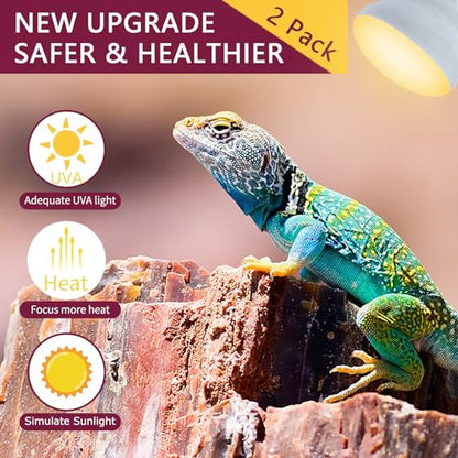 150W Reptile Heat Lamp Bulb 2 Pack,Basking Spot Lamp Bulb for Reptiles & Amphibians，Reptile Daylight Heat Bulb for Bearded Dragon, Lizard, Turtle - size: 150*2