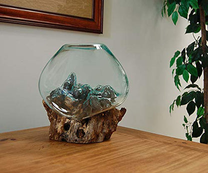 Molten Glass | #650-28 | Molten Glass & Wood Sculpture | Terrarium | Fairy Garden | Approximately 11" Wide | Natural Wood and Recycled Glass | - size: Approximately 11" Wide